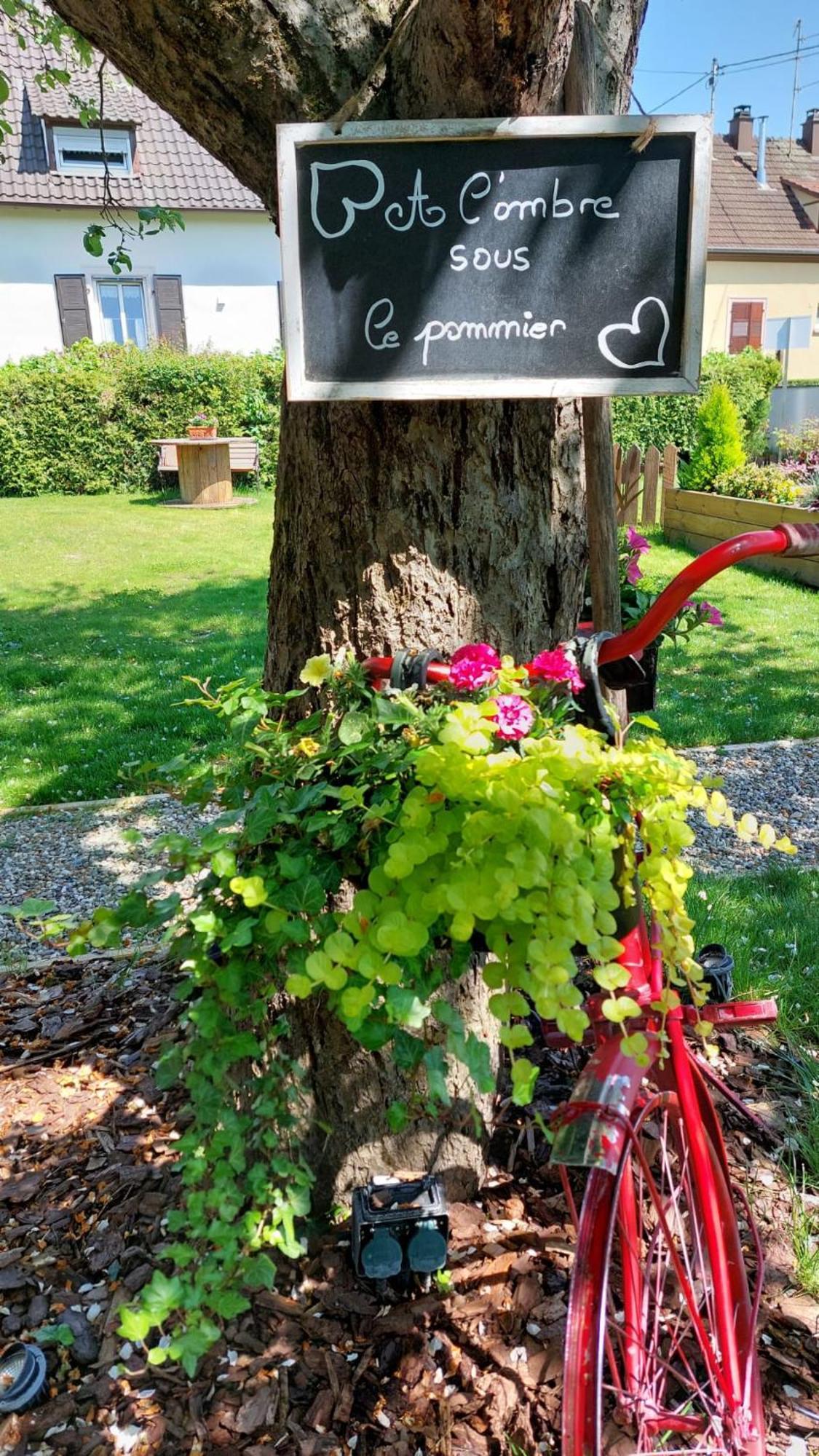 Gite Au Pommier Fleuri Et Son "Appart" Independant Drusenheim Экстерьер фото